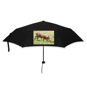 Shoat Wild boar (in german Wildschwein) Sus scrofa - Umbrella (small) - black - Front