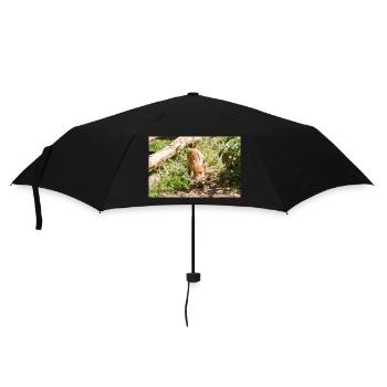 Wildschwein Sus scrofa - Regenschirm (klein) - Schwarz - Vorne