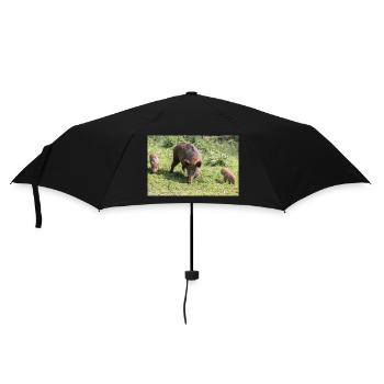 Wildschwein Sus scrofa - Regenschirm (klein) - Schwarz - Vorne
