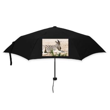 Zebra (in german Zebra or Zebras) Hippotigris - Umbrella (small) - black - Front