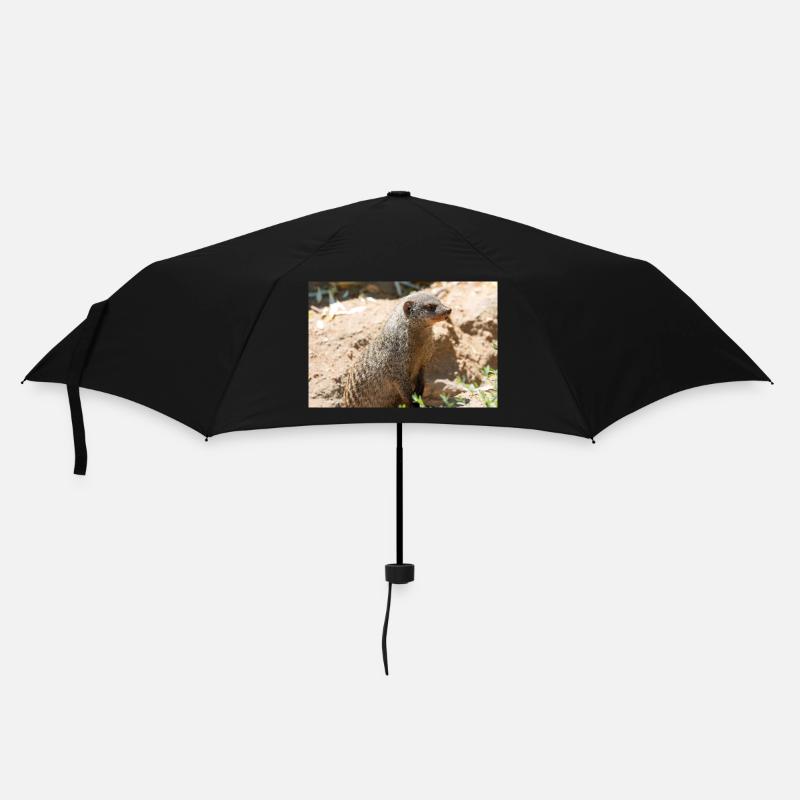 Erdmännchen (Suricata suricatta, Erdmännchen) - Regenschirm (klein) - Schwarz