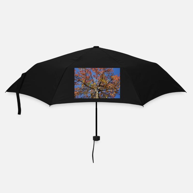 Érable - Parapluie standard - noir