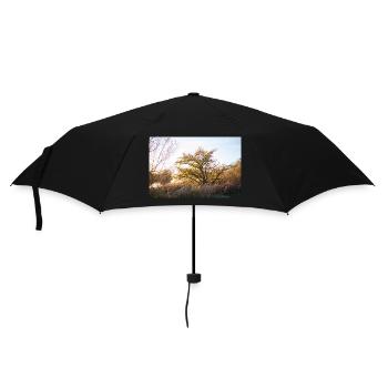 Lesum - Regenschirm (klein) - Schwarz - Vorne