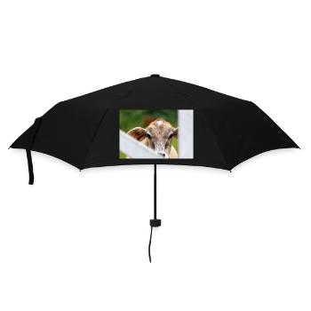 Little calf with a sweet look - Umbrella (small) - black - Front