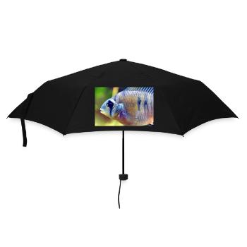Bolivianischer Schmetterlingsbuntbarsch - Regenschirm (klein) - Schwarz - Vorne