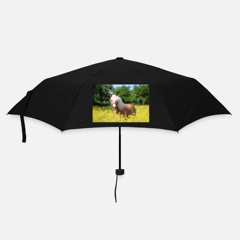 Haflinger im Raps - Regenschirm (klein) - Schwarz