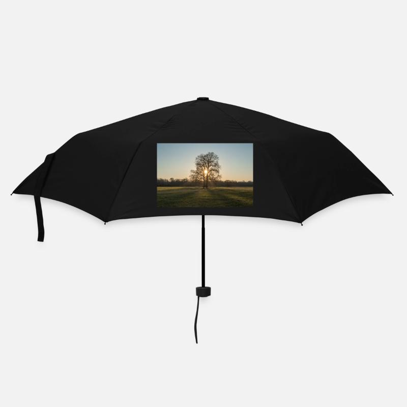 Zwischen den beiden - Regenschirm (klein) - Schwarz