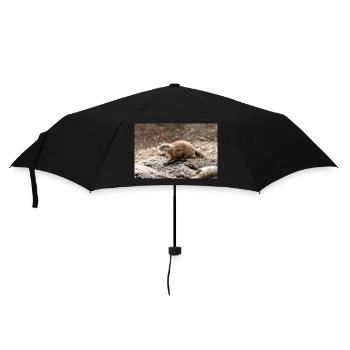African ground squirrels Borstenhörnchen Xerus - Umbrella (small) - black - Front