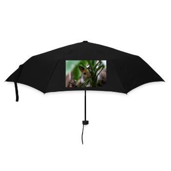 le chat au doux regard - Parapluie standard - noir - Devant