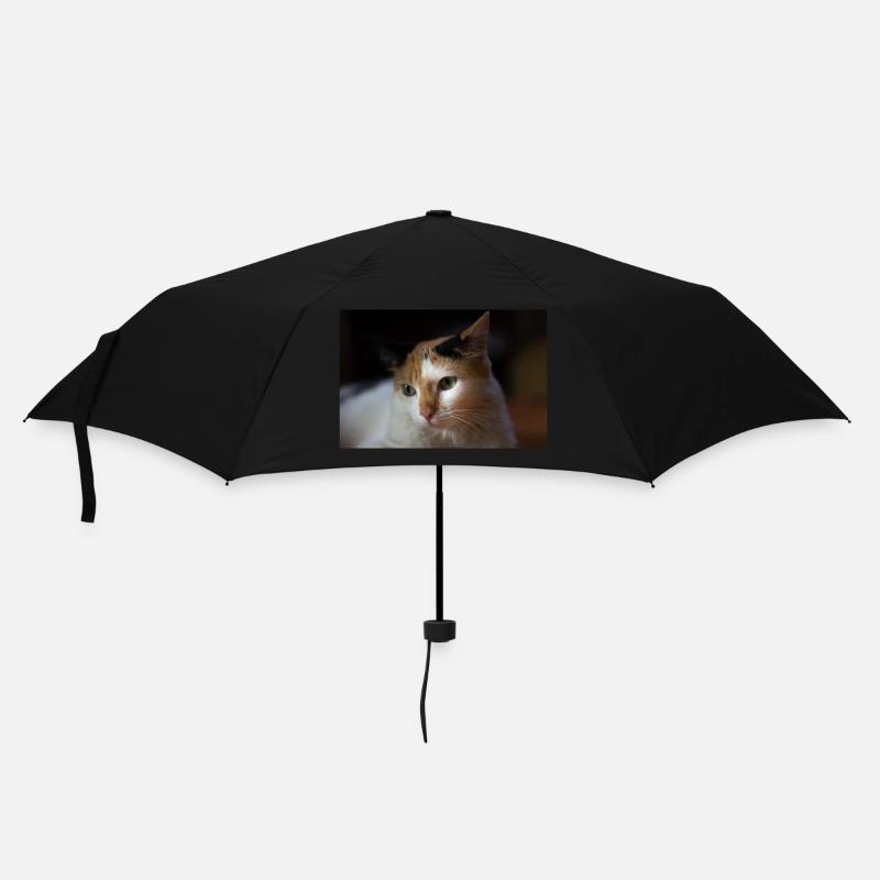 Die Katze - Regenschirm (klein) - Schwarz