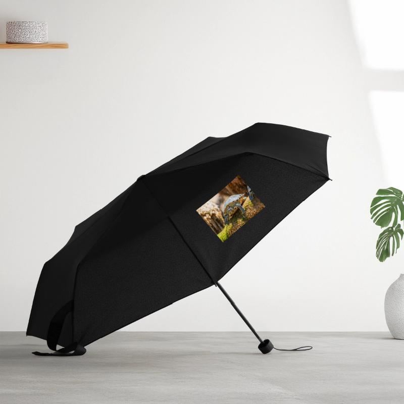 Parapluie standard
