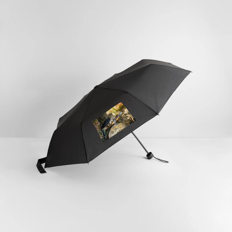 Regenschirm (klein)