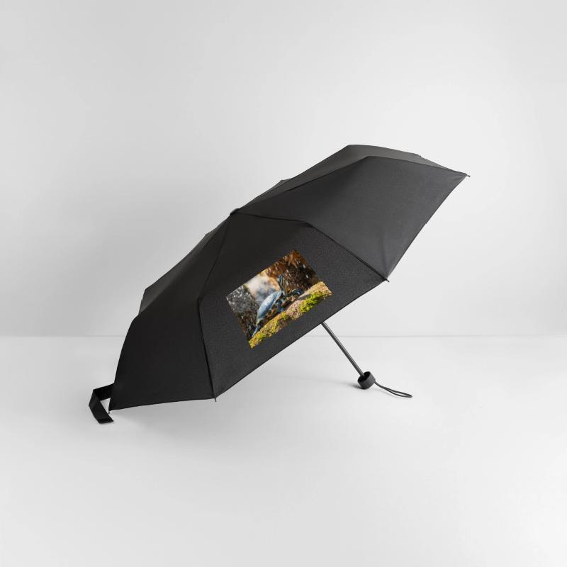 Parapluie standard