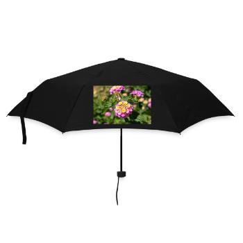 Lantana également drapeau espagnol Wandelröschen - Parapluie standard - noir - Devant