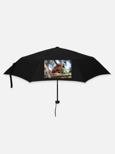 écureuil (en allemand Eichhörnchen) Sciurus - Parapluie standard - noir