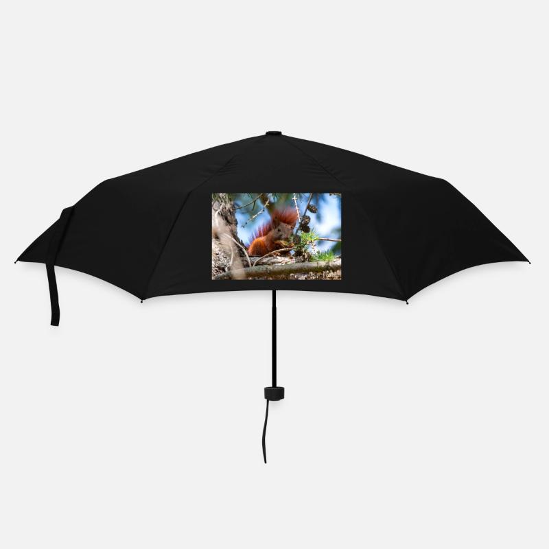 écureuil (en allemand Eichhörnchen) Sciurus - Parapluie standard - noir