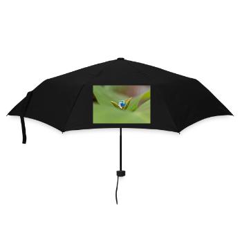 LA bille sur la plante - Parapluie standard - noir - Devant