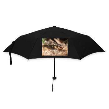 dwarf mongoose (in german Zwergmangusten) Helogale - Umbrella (small) - black - Front
