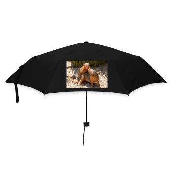 dwarf mongoose (in german Zwergmangusten) Helogale - Umbrella (small) - black - Front