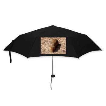 dwarf mongoose (in german Zwergmangusten) Helogale - Umbrella (small) - black - Front