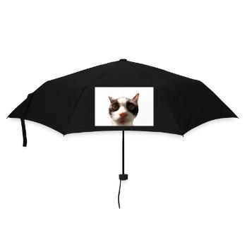 Katze - Regenschirm (klein) - Schwarz - Vorne