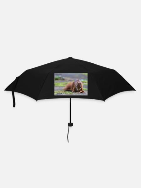 Eichhörnchen - Regenschirm (klein) - Schwarz