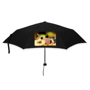 Corydoras panda catfish, panzerwels, pandawels - Parapluie standard - noir - Devant