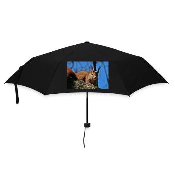 Eichhörnchen - Regenschirm (klein) - Schwarz - Vorne