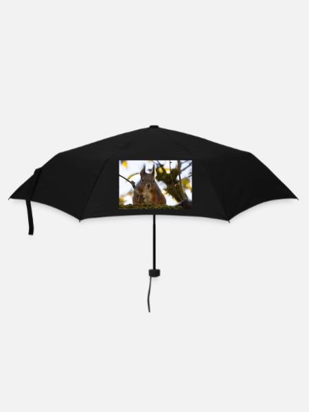 Oachkatzl / Écureuil - Parapluie standard - noir
