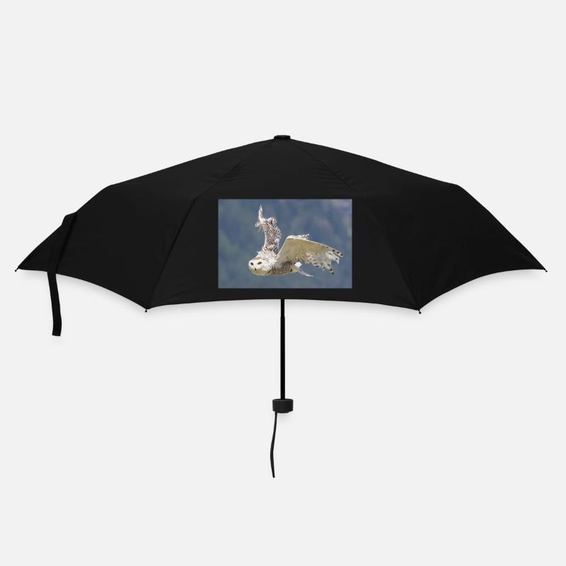 Snowy owl - Umbrella (small) - black