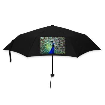 Pfau - Regenschirm (klein) - Schwarz - Vorne