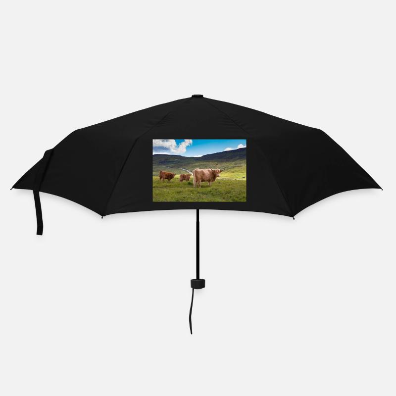 Schottische Hochlandrinder - Regenschirm (klein) - Schwarz