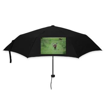 Male Deer DSC 0045 - Umbrella (small) - black - Front
