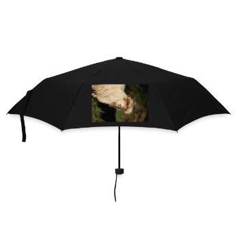 Wildziege - Regenschirm (klein) - Schwarz - Vorne