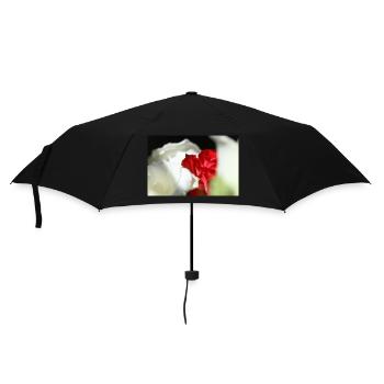 Weiße und rote Rosen - Regenschirm (klein) - Schwarz - Vorne
