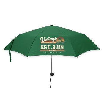 2019 Vintage Millésime anniversaire Retro cadeau - Parapluie standard - vert bouteille - Devant