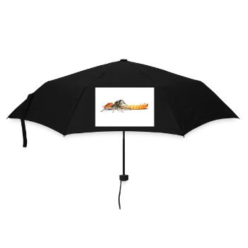Springspinne Phidippus texanus jumping spider - Umbrella (small) - black - Front