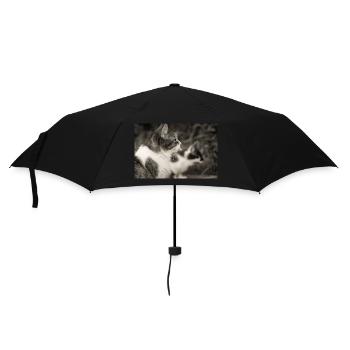 Portrait of cats - Umbrella (small) - black - Front