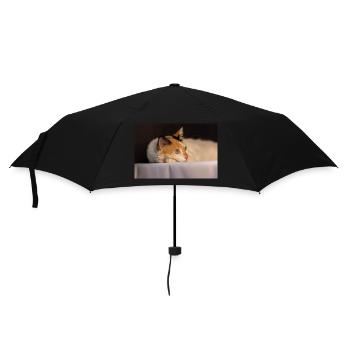 Die Katze - Regenschirm (klein) - Schwarz - Vorne