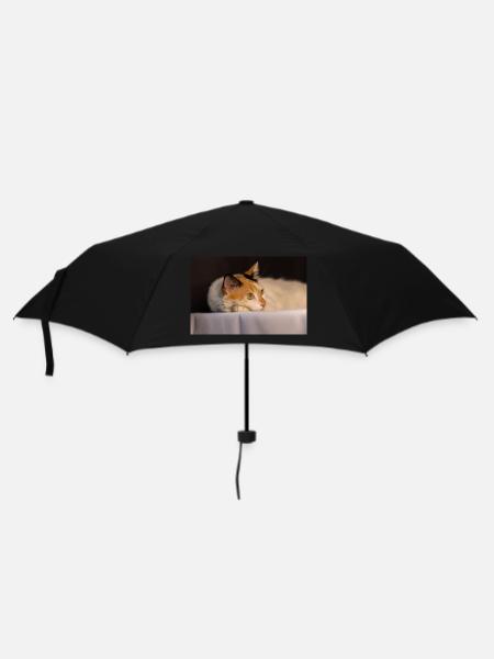 Die Katze - Regenschirm (klein) - Schwarz