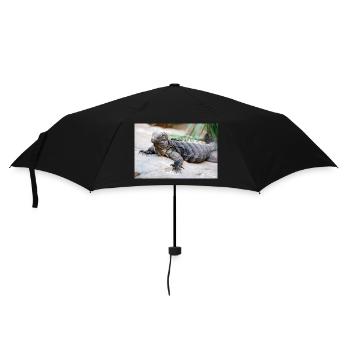 Cuban rock iguana also Cuban ground iguana - Umbrella (small) - black - Front