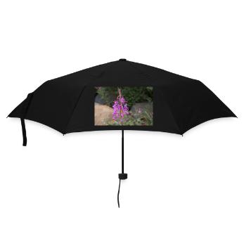 fireweed also willow herb also rosebay willowherb - Umbrella (small) - black - Front