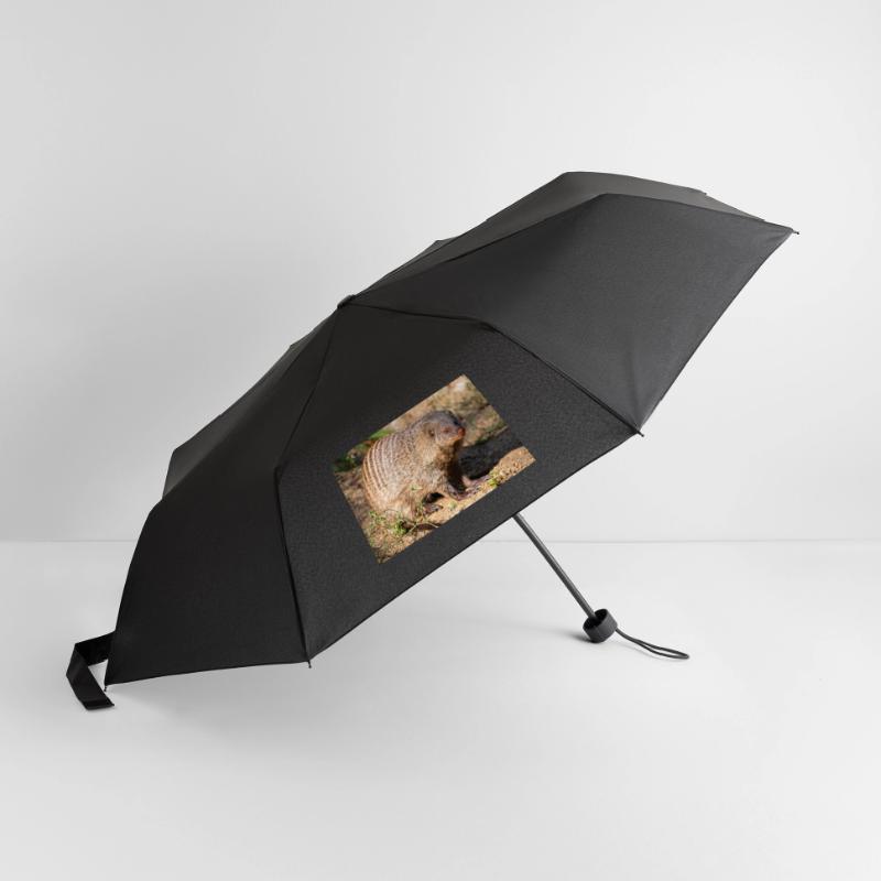 Gebänderte Manguste oder Zebramanguste Zebramanguste Regenschirm (klein)