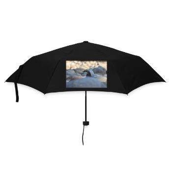 Der Reiher - Regenschirm (klein) - Schwarz - Vorne