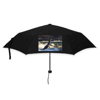 Der Reiher - Regenschirm (klein) - Schwarz - Vorne