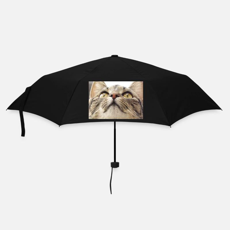 Visage de chat Minka - Parapluie standard - noir