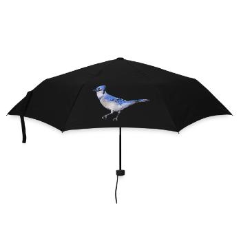 Bird ~ the Blue Jay - Umbrella (small) - black - Front