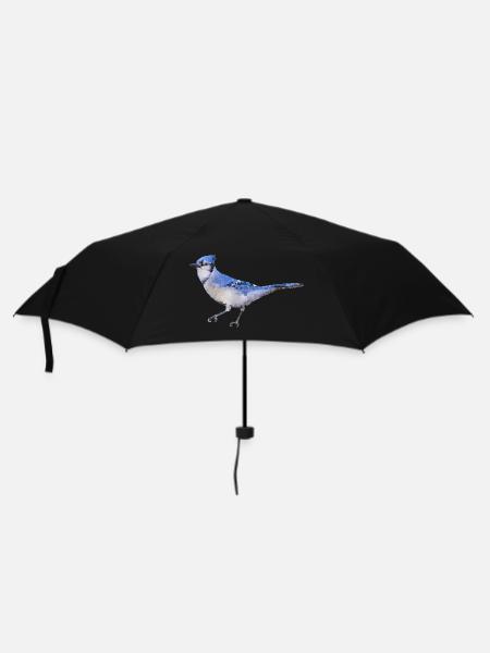 Vogel ~ der blaue Eichelhäher - Regenschirm (klein) - Schwarz