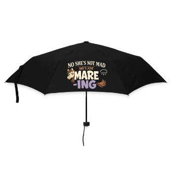 Pferdestimmung Humor Erfahrener Pferdebesitzer - Regenschirm (klein) - Schwarz - Vorne