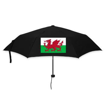 Wales - Regenschirm (klein) - Schwarz - Vorne